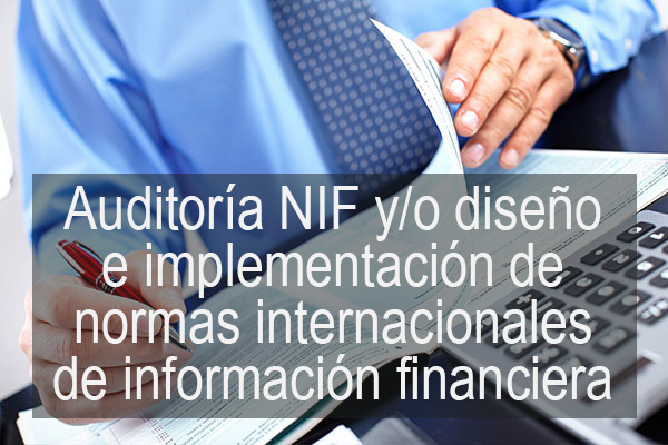 Auditoria niif y/o diseño e implementación de normas internacionales de información financiera