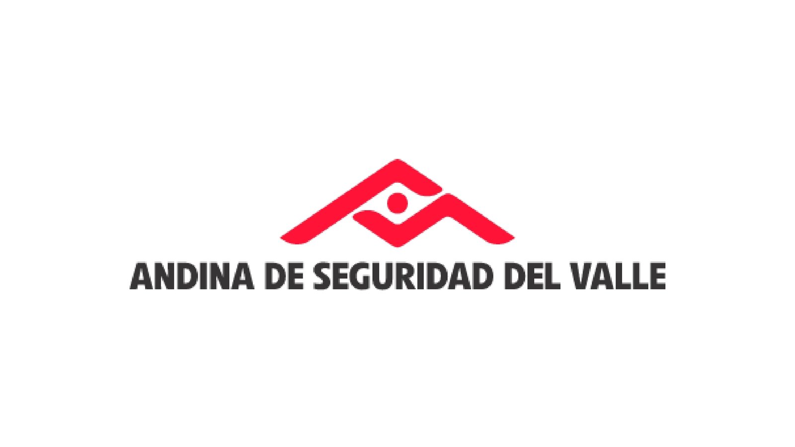 Andina de seguridad